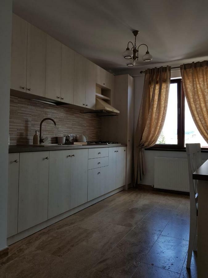Apartament 2 Camere Ultracentral Римніку-Вилча Екстер'єр фото